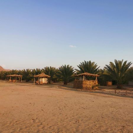 Almazham Camp Resort Al Ula Ngoại thất bức ảnh