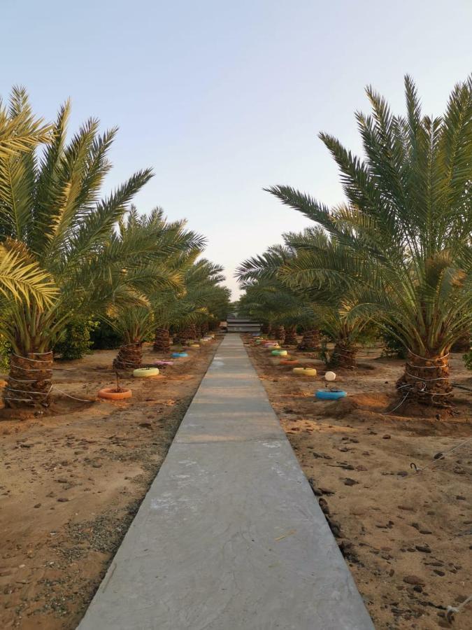 Almazham Camp Resort Al Ula Ngoại thất bức ảnh