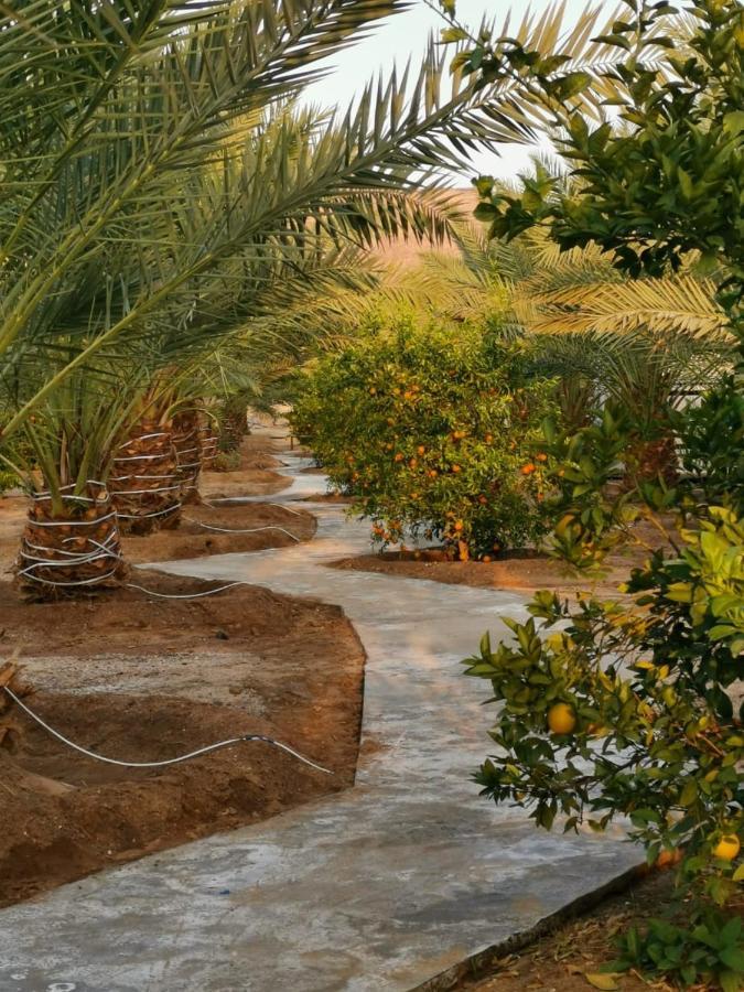 Almazham Camp Resort Al Ula Ngoại thất bức ảnh