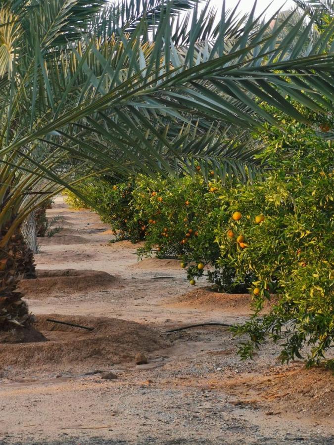 Almazham Camp Resort Al Ula Ngoại thất bức ảnh