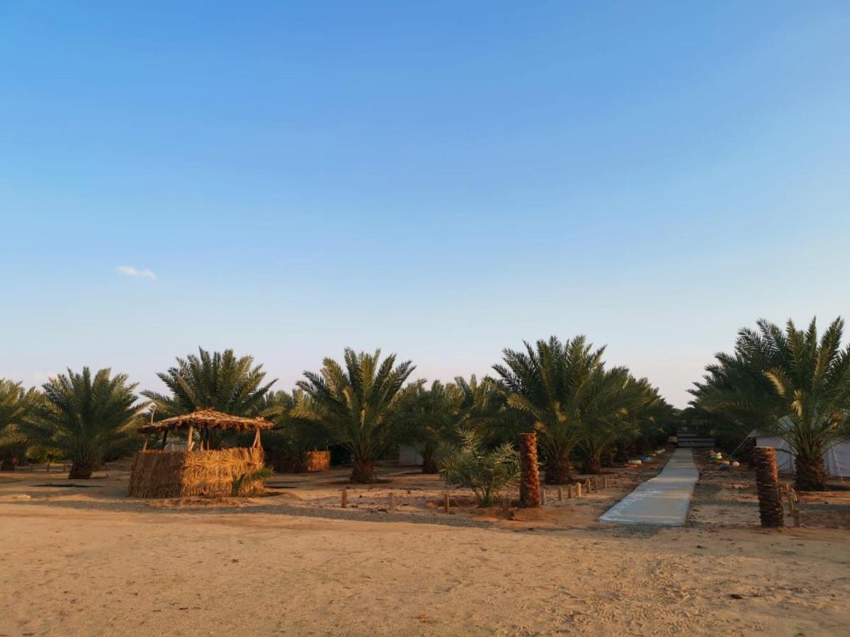 Almazham Camp Resort Al Ula Ngoại thất bức ảnh