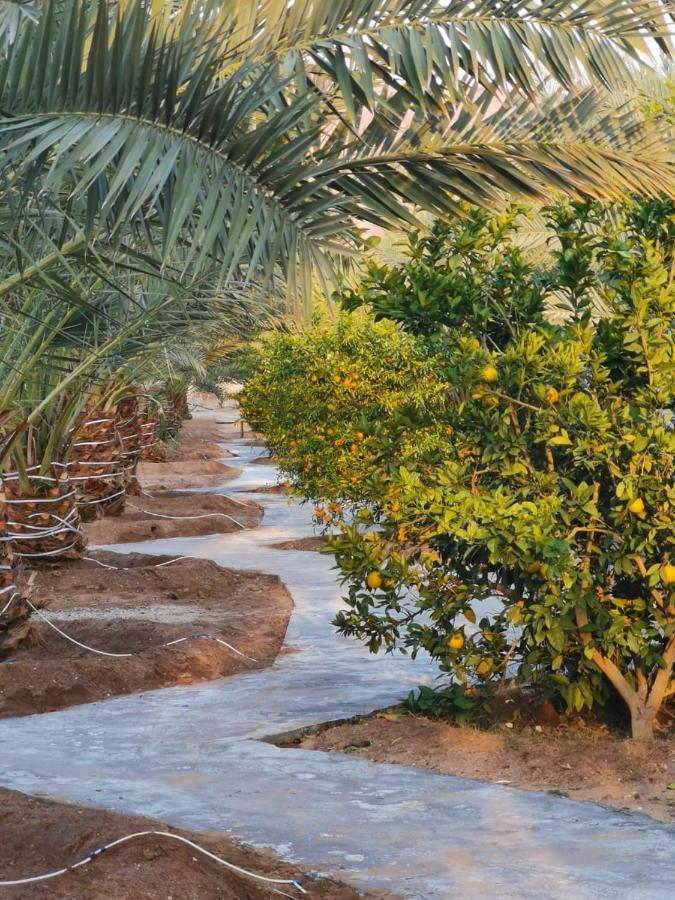 Almazham Camp Resort Al Ula Ngoại thất bức ảnh